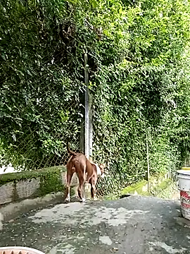 Snapshot of sebasxx97 chatting on March 5, 8:10 pm sebasxx97 online show from March 5, 8:10 pm