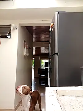 Snapshot of sebasxx97 chatting on March 10, 7:40 pm sebasxx97 online show from March 10, 7:40 pm