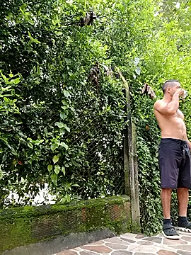 sebasxx97 online show from January 12, 2:00 pm