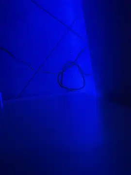 Snapshot of Bennyben8604 chatting on December 7, 9:11 pm Bennyben8604 online show from December 7, 9:11 pm