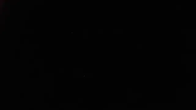 White daisy online show from January 4, 2:04 pm