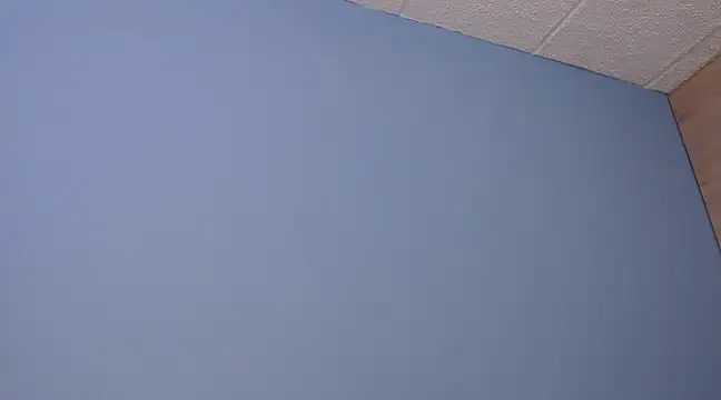 Lilly macflyy online show from December 18, 8:03 pm