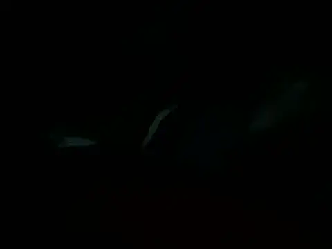 Snapshot of Billythekidd1978 chatting on March 22, 5:20 pm Billythekidd1978 online show from March 22, 5:20 pm