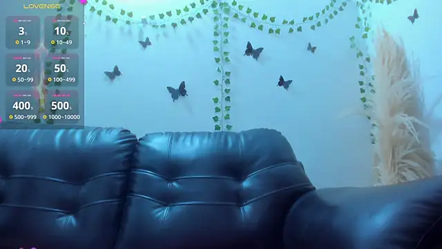 Amani Bakir online show from January 19, 1:15 pm