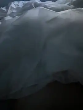 Pongobongo40 online show from February 26, 1:37 am