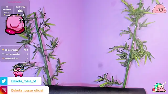 DakotaRosee online show from February 17, 5:25 am