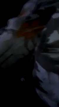 Bite spectaculaire online show from February 3, 1:19 am