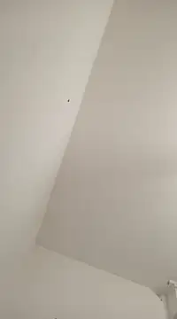 Anitabambola online show from March 5, 11:27 pm