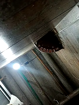 Snapshot of Restrepo300 chatting on October 3, 11:13 pm Restrepo300 online show from October 3, 11:13 pm