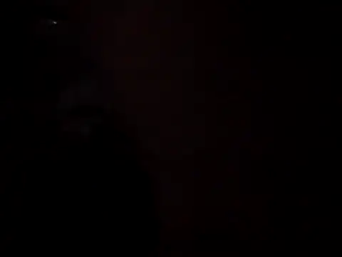 WilldoPita online show from November 5, 10:48 am