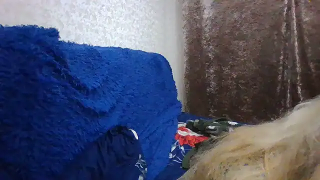 CarlyTreat online show from November 30, 4:00 pm