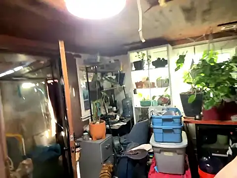 trash4cash online show from January 13, 10:04 pm