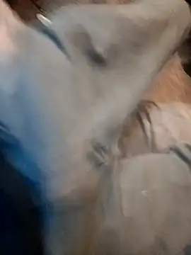 ySqmbVanbe online show from December 17, 9:43 pm