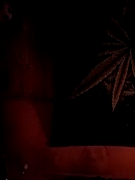 ySqmbVanbe online show from February 6, 8:29 am