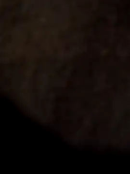 ySqmbVanbe online show from April 11, 12:48 am