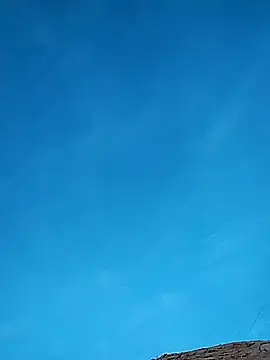 FloppyPickle4u online show from February 17, 1:15 am