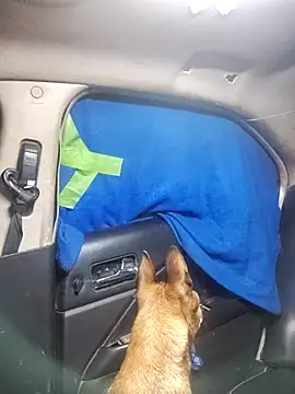 FloppyPickle4u online show from February 18, 5:31 pm