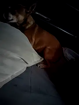 FloppyPickle4u online show from February 28, 4:31 pm