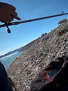 FloppyPickle4u online show from March 4, 7:43 pm