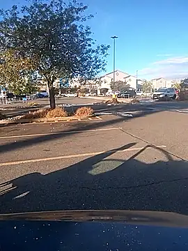 FloppyPickle4u online show from September 9, 3:11 pm