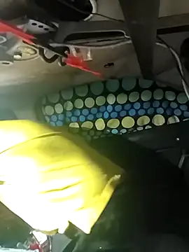 FloppyPickle4u online show from March 6, 3:36 am