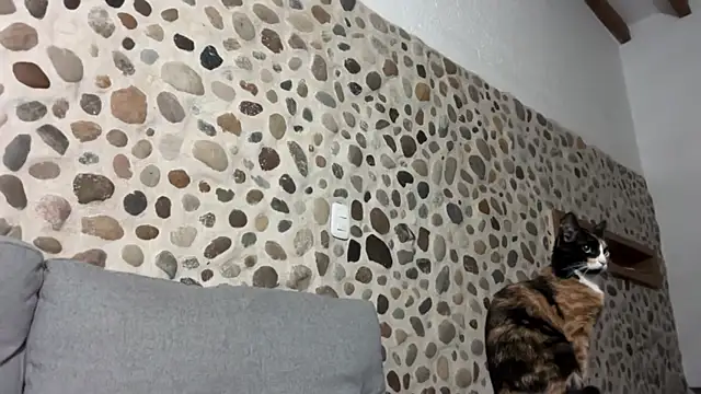 David Brown18 online show from October 1, 3:45 am