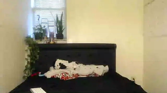 Snapshot of vixenpaisley2 chatting on December 7, 3:04 am vixenpaisley2 online show from December 7, 3:04 am