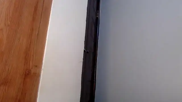 wetpussy ebony online show from April 6, 6:25 am