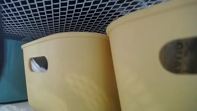 lovense test04 online show from February 27, 7:30 am