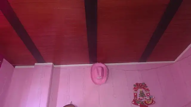 Snapshot of NikkiRous_ chatting on December 15, 1:26 pm NikkiRous online show from December 15, 1:26 pm