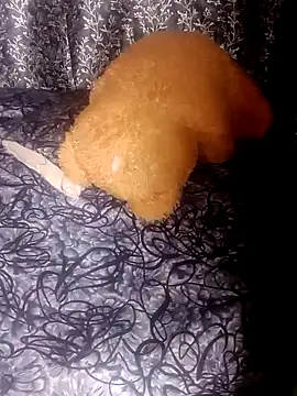 shuhana  online show from January 21, 1:18 am