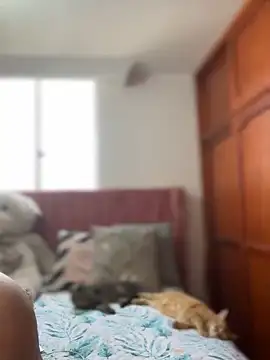 ValerieHilton online show from March 12, 9:13 pm