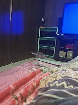 A6229 online show from May 7, 2:11 pm