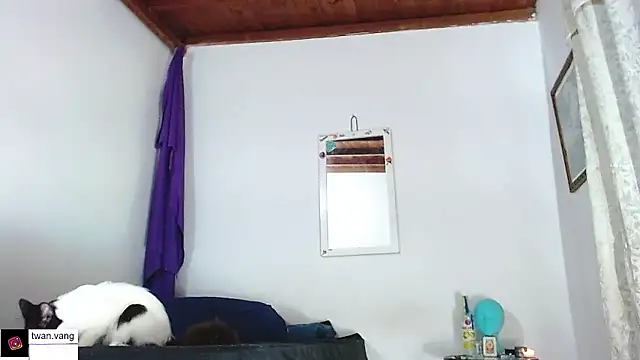 Trix fiore oficial online show from January 14, 3:01 am