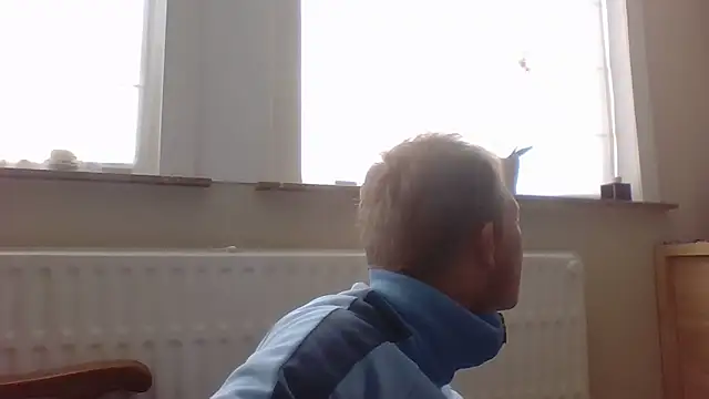 Snapshot of bertolini chatting on October 12, 1:32 pm bertolini online show from October 12, 1:32 pm