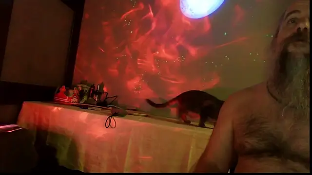 Snapshot of SexWorkerX chatting on November 4, 11:59 pm SexWorkerX online show from November 4, 11:59 pm