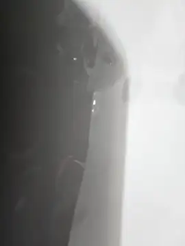 gordito xx online show from February 22, 3:47 pm