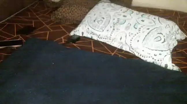 Sweetie pussy online show from March 18, 1:09 pm