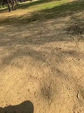 Cum on your tityyy online show from January 13, 9:03 am