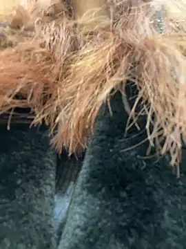 RinaCat online show from January 9, 5:44 am