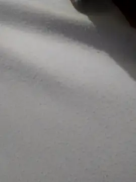 Snapshot of _Miaaleon chatting on November 16, 10:43 am Miaaleon online show from November 16, 10:43 am