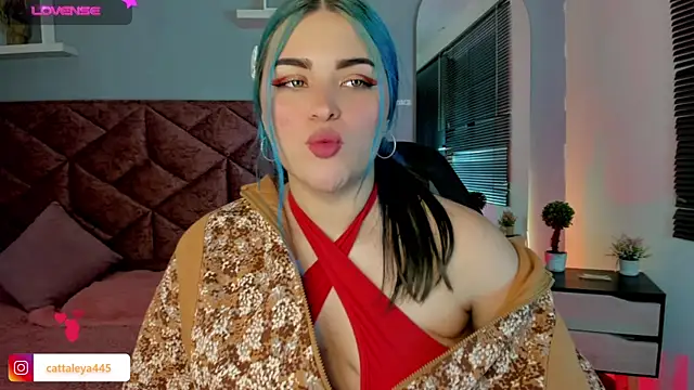 cattaleya    online show from January 16, 6:25 am