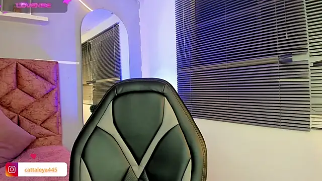 cattaleya    online show from February 8, 6:22 am