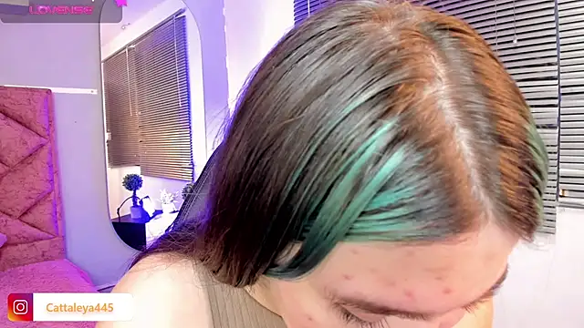 cattaleya    online show from February 19, 6:44 am