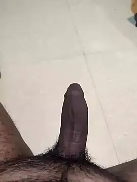 saiTeluguhyd online show from January 25, 7:49 pm