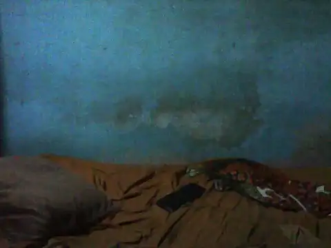 little  joy online show from November 29, 9:18 pm