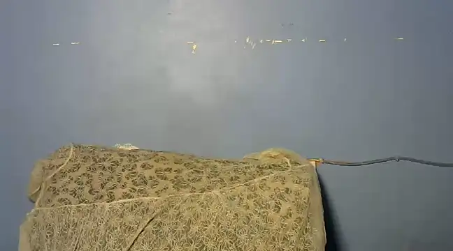 Snapshot of shishbabe chatting on March 4, 4:49 am shishbabe online show from March 4, 4:49 am