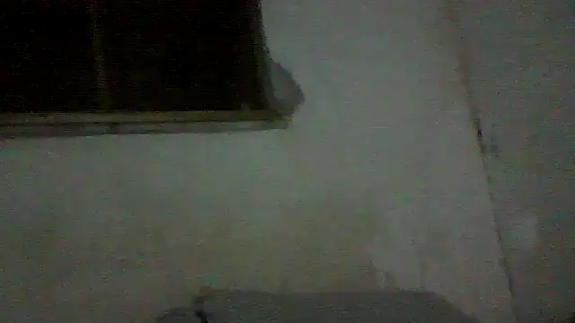 Snapshot of PAUBRASILEIRORJ chatting on July 17, 1:56 am PAUBRASILEIRORJ online show from July 17, 1:56 am
