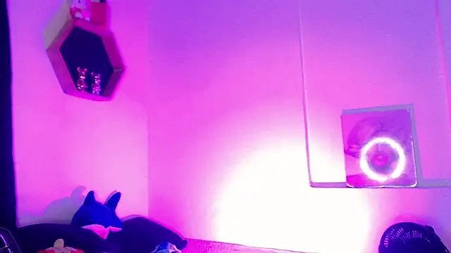 Gorrion   online show from March 11, 3:12 am