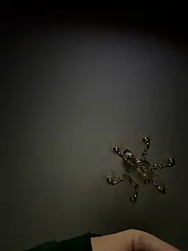 Jose rz online show from March 23, 6:50 am